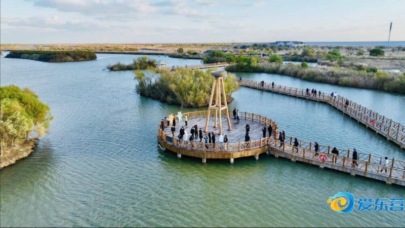 主动分享自 主动分享自